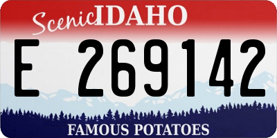 ID license plate E269142
