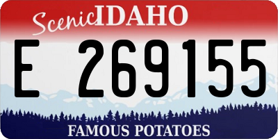 ID license plate E269155