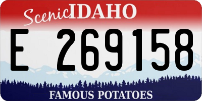 ID license plate E269158