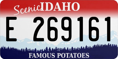 ID license plate E269161