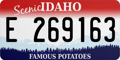 ID license plate E269163