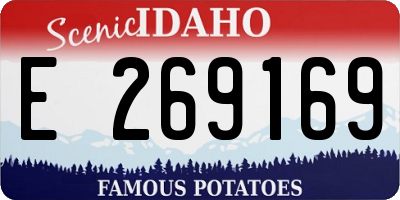 ID license plate E269169