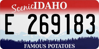 ID license plate E269183