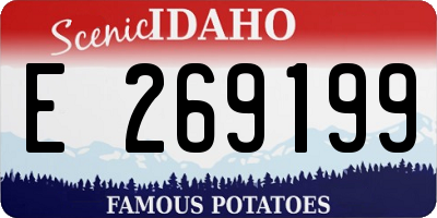ID license plate E269199