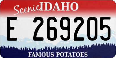 ID license plate E269205