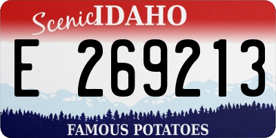 ID license plate E269213
