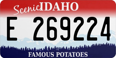 ID license plate E269224