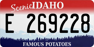 ID license plate E269228