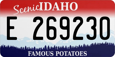 ID license plate E269230
