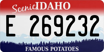ID license plate E269232