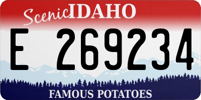 ID license plate E269234