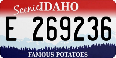 ID license plate E269236