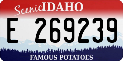 ID license plate E269239