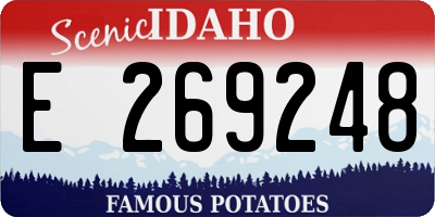 ID license plate E269248