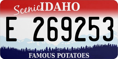 ID license plate E269253