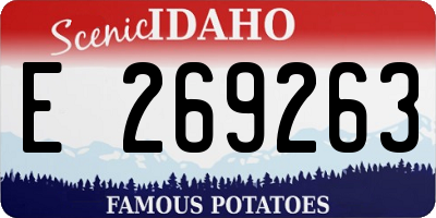 ID license plate E269263