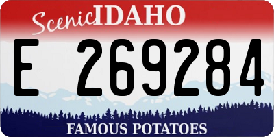 ID license plate E269284