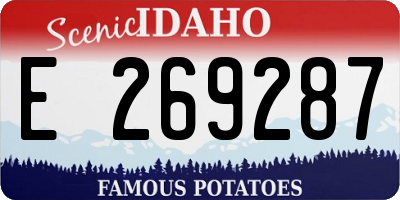 ID license plate E269287