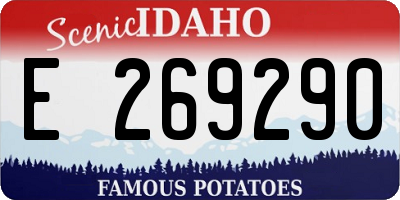 ID license plate E269290