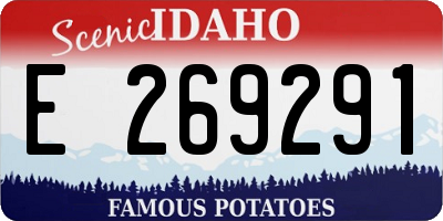 ID license plate E269291