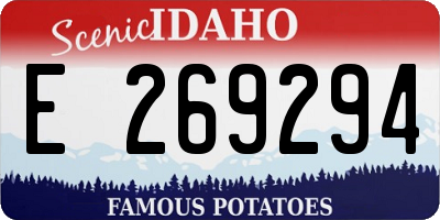 ID license plate E269294