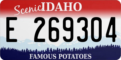 ID license plate E269304