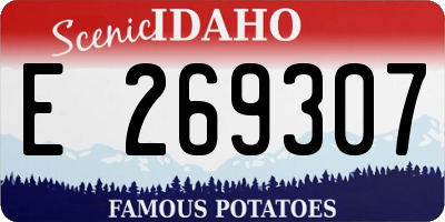 ID license plate E269307