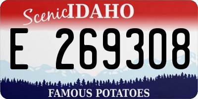 ID license plate E269308