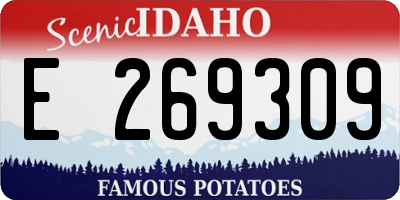 ID license plate E269309