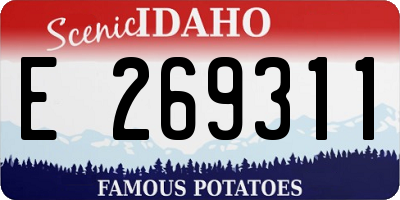 ID license plate E269311
