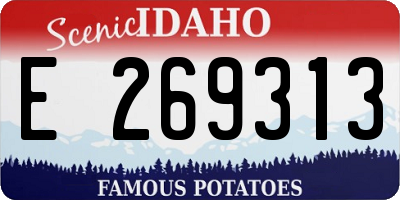ID license plate E269313