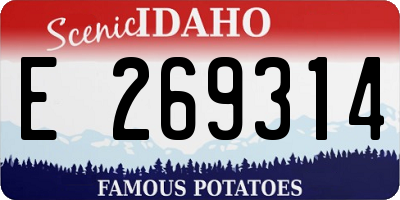 ID license plate E269314