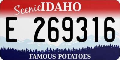 ID license plate E269316