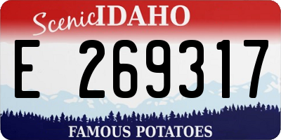 ID license plate E269317
