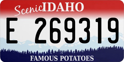ID license plate E269319