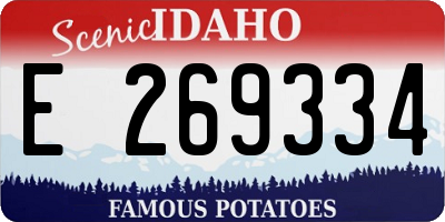 ID license plate E269334