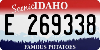 ID license plate E269338