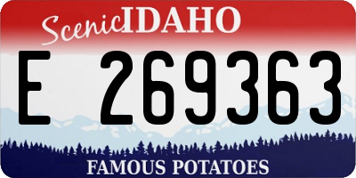 ID license plate E269363