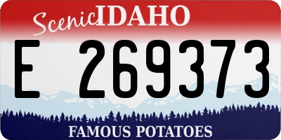 ID license plate E269373