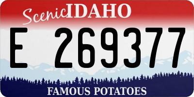 ID license plate E269377