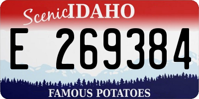 ID license plate E269384
