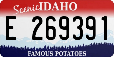 ID license plate E269391