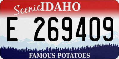 ID license plate E269409