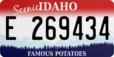 ID license plate E269434