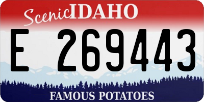 ID license plate E269443