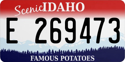 ID license plate E269473