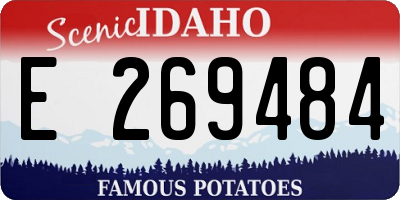 ID license plate E269484