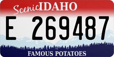 ID license plate E269487