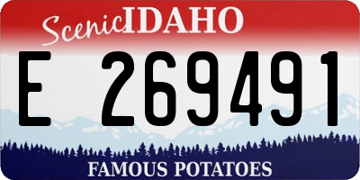 ID license plate E269491