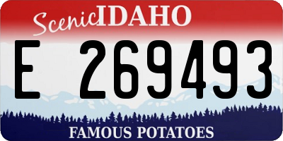 ID license plate E269493